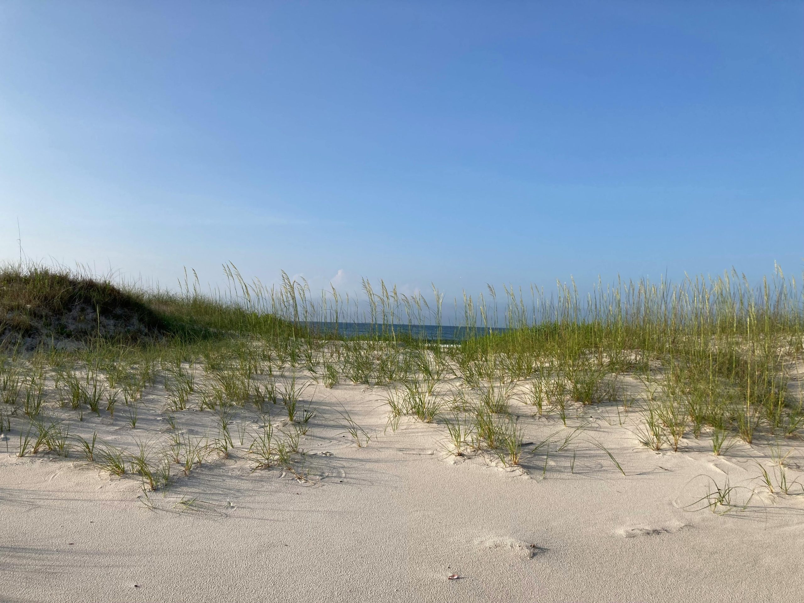 WaterColor Florida Guide: Emerald Coast 30A beach scene