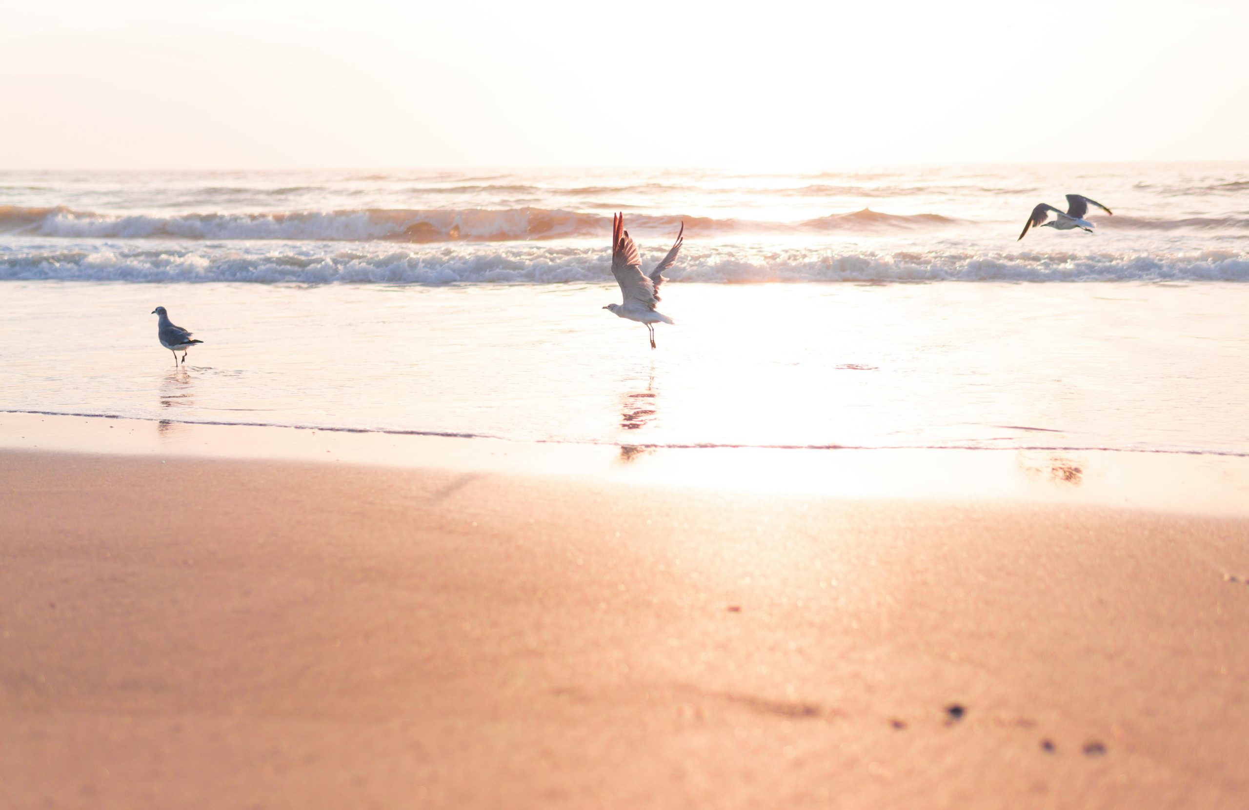 Blue Mountain Beach Guide: Emerald Coast 30A beach scene